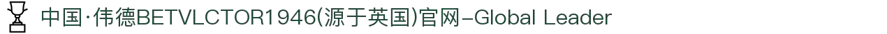 中国·伟德BETVLCTOR1946(源于英国)官网-Global Leader